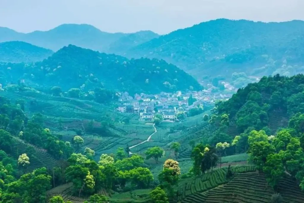 On the geography of the authentic Long Jing