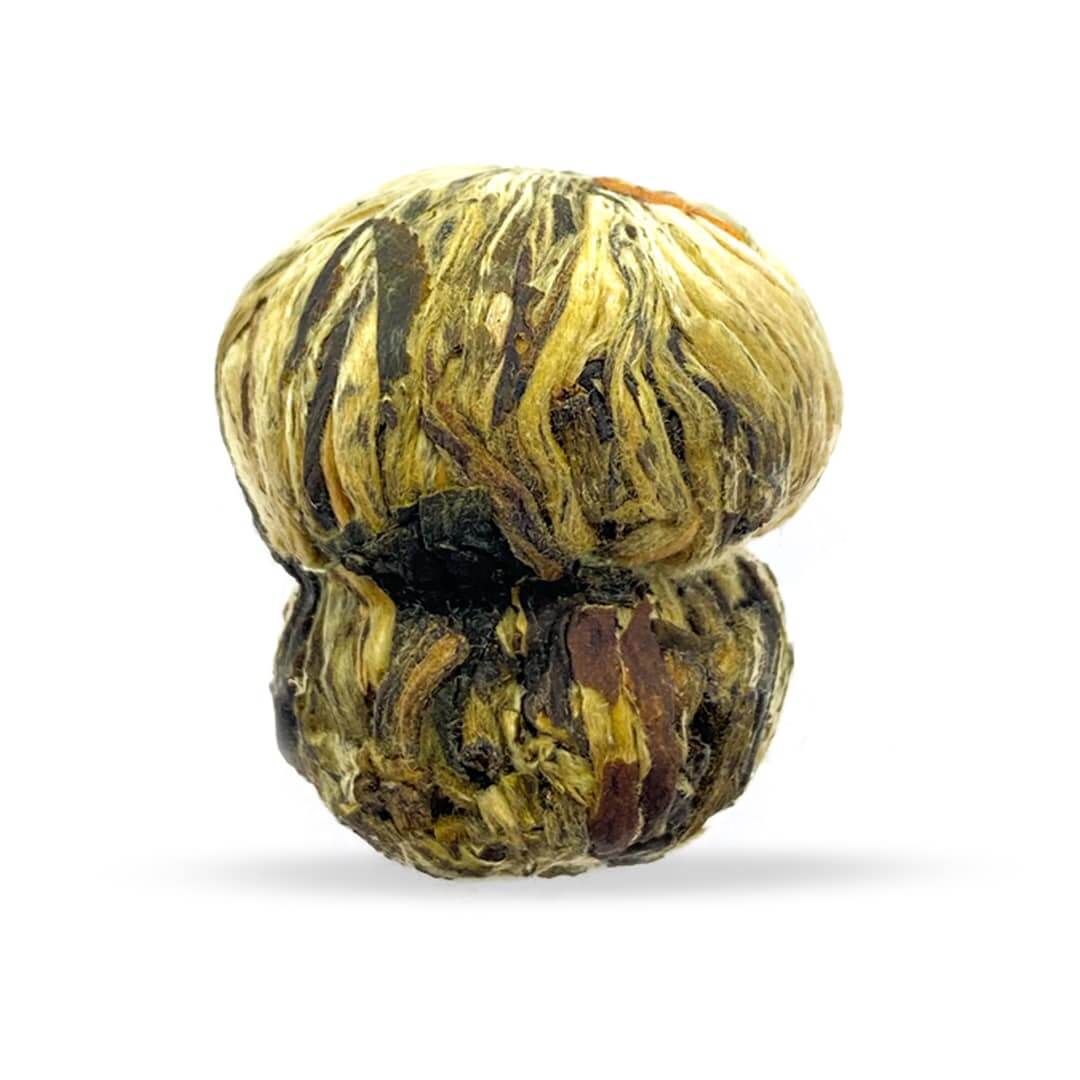 Osmanthus Lily