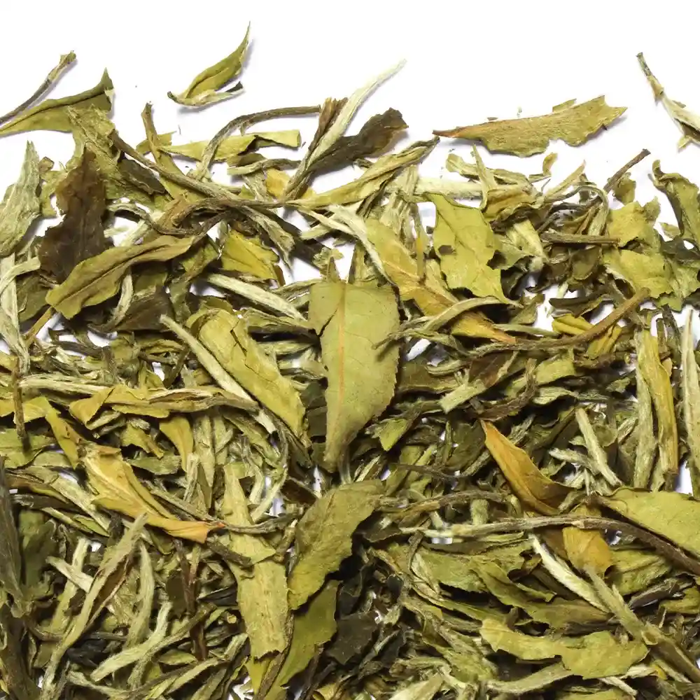 Bai Mu Dan