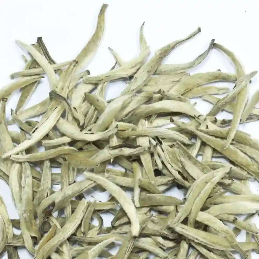 Silver White Needle 100g