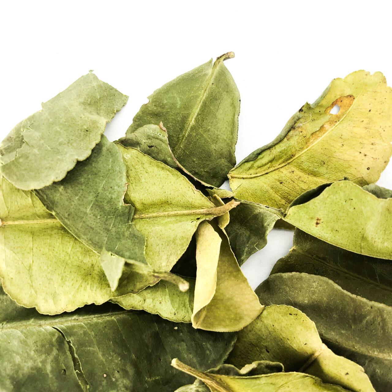 Kaffir Lime Leaf, 30g - Image 2