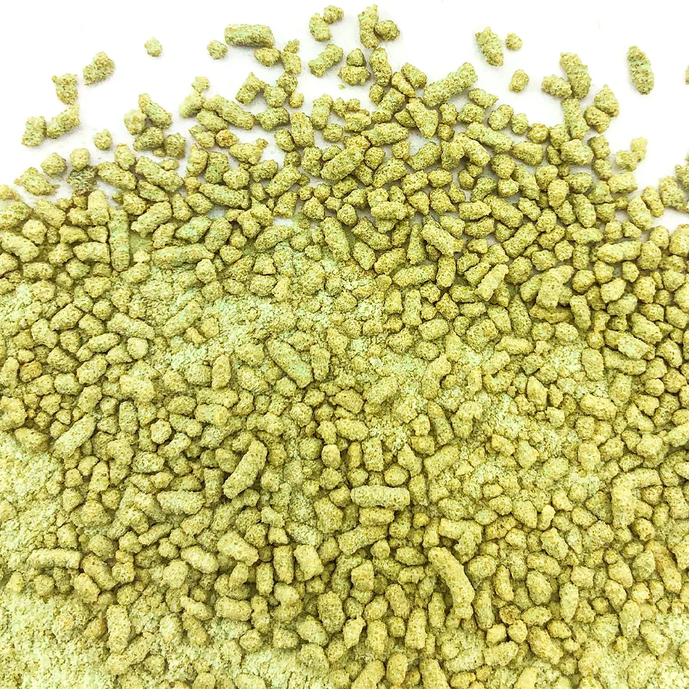 Red Ginseng Matcha Latte - Image 2