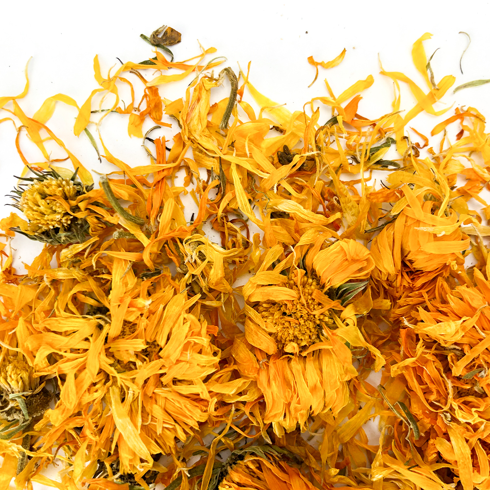 Siberian Calendula 20g - Image 2