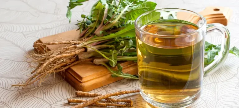 Dandelion Tea Benefits