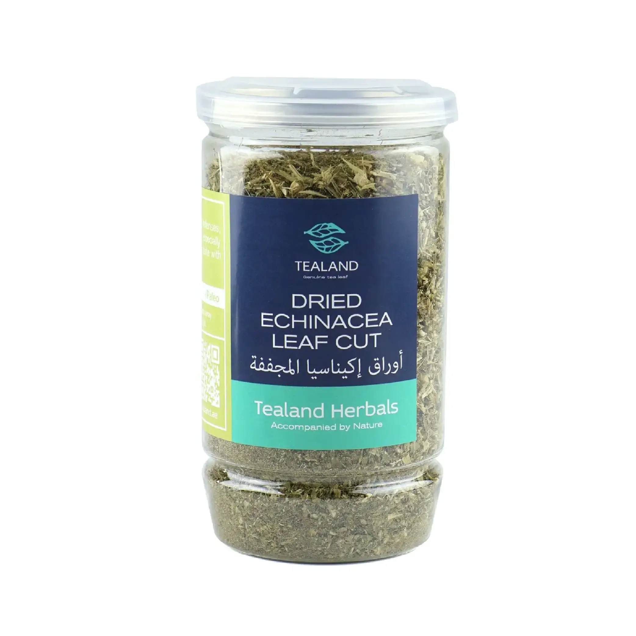 Dried-Echinacea-Leaf-Cut-01-O