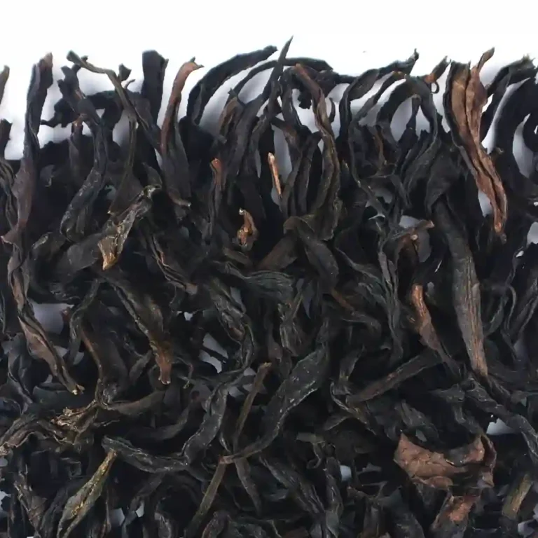 TEAS PHOTOS UPDATE-01
